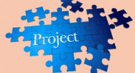 The project application