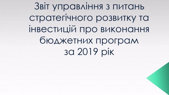 Vit of the Department for Strategic Development and Investment on the implementation of budget programs for 2019