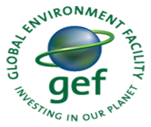 Global Environment Facility (GEF)
