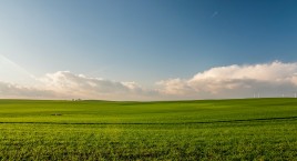 The list of vacant land plots in the city of Rivne, as of September 22, 2020