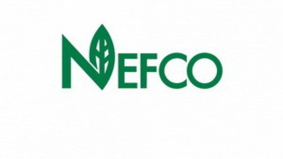 Rivne will receive UAH 12.5 million from NEFCO for thermal modernization