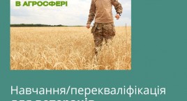 Employment Opportunities for Veterans