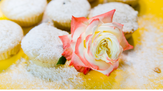 STAROPANSKA CUISINE XVI-XIX centuries