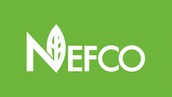 Progress of the NEFCO-1 project