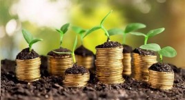 Прямі іноземні інвестиції в місто Рівне у 2019 році