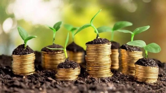 Foreign direct investment in the city of Rivne in 2019