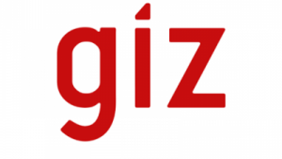 Employees of the Department of Strategic Development and Investments participated in a webinar on energy efficiency (GIZ)