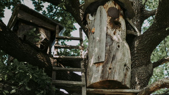 Delicious traditions, crafts and rituals of Rivne region today: baked fish on straw and boarding